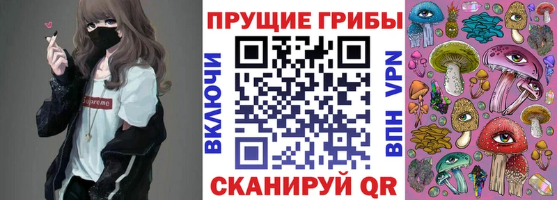 даркнет телеграм  купить закладку  Чадан  Псилоцибиновые грибы ЛСД 